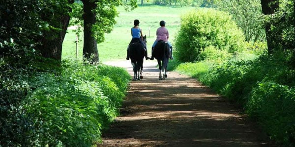 picture-of-equestrian-trip-and-tour-operator-ireland-dmc